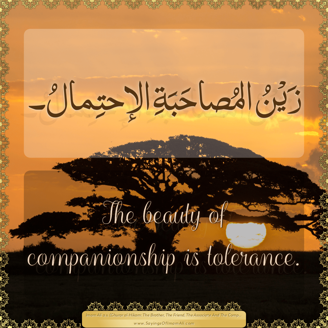 The beauty of companionship is tolerance.